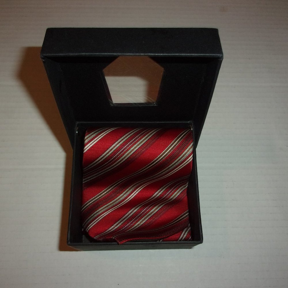 Bijoux Terner 100% Silk Necktie